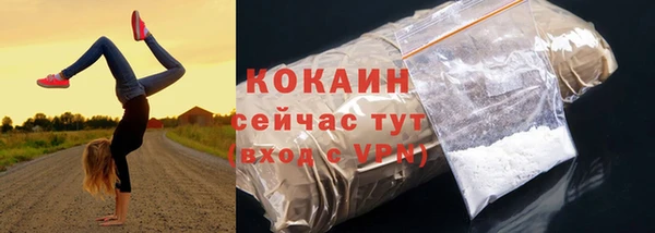 СК Каменка