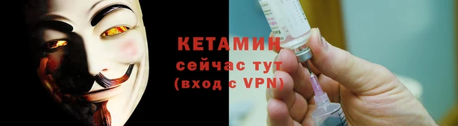 стафф Касимов
