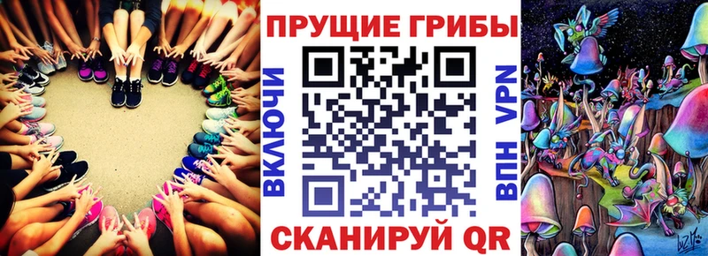 Купить  Барнаул  Галлюциногенные грибы Cubensis 